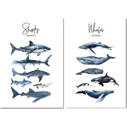 Wall Art Abstract Cartoon Nursery Whale Shark Paintings Baby Gift Picture Nordic Canvas Posters Prints Living Room Decoration