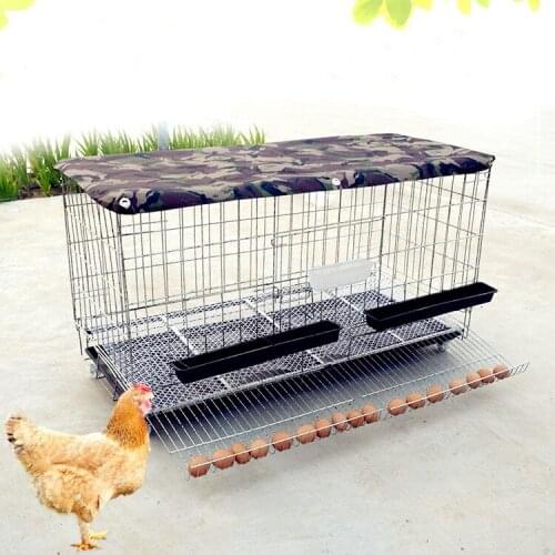 Chicken Cage Home Egg Culture Folding and Duck Automatic Rolling