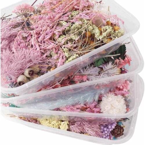 1 Box Real Mix Dried Flower Dry Plants For Aromatherapy Candle Epoxy Resin Pendant Necklace Jewelry Making Craft DIY Accessories