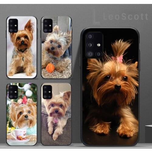 Mini Yorkshire Terrier Dog Phone Case For Samsung A40 A31 A50 A51 A71 A20E A20S S8 S9 S10 S20 Plus note 20 ultra