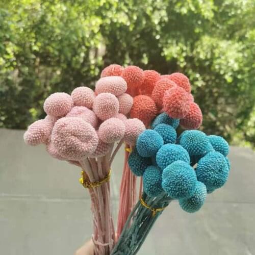 2-4cm/10pcs,Natural Dried Craspedia flowers Bunch,Preserved display Flower for Wedding Party Home Decoration accessories
