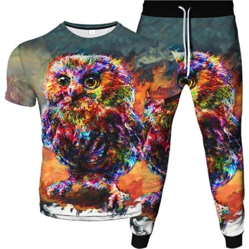 Harajuku Galaxy Night Moon Animal Owl Print Men Tracksuit Women T-Shirt+Trousers 2Pcs Sets Casual Clothes Suits Plus Size S-6XL