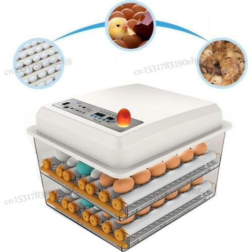 Incubator automatic small household water bed egg incubator peacock duck goose household egg incubator