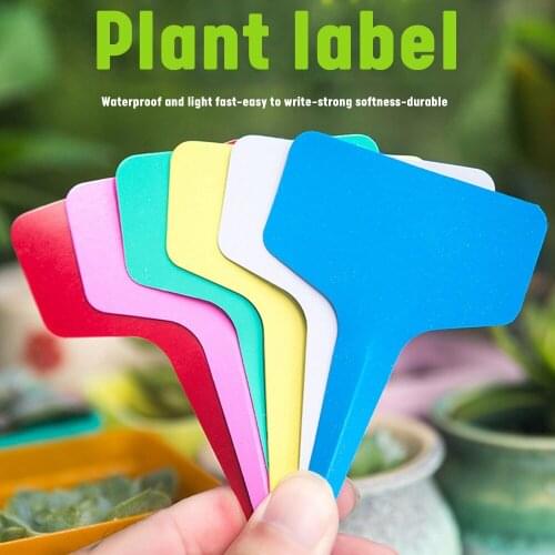 Waterproof Plant Tags 100pc Plastic Garden Label T-type Tags Flower Gardening Plant Writing Sign Test Brand 6cm * 10cm