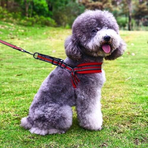 Pet Dog Leash Nylon Reflective Leashes For Small Medium Puppy Dog Durable Collar Leashes Strap Belt Rope Pet Vest Harness