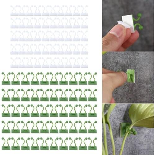 Self-Adhesive Plant Climbing Wall Fixture Clips Home Vine Hanging Holder Hook Wall Vines Fixture Wall Sticky Hooks Holder 100Pcs