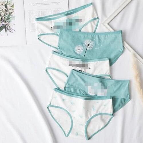 4Pcs/lot Panties Women Underwear Briefs Breathable Underpants Girls Soft Panty waist size girls briefs T-A-6-4