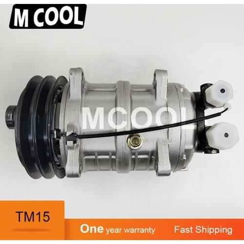 For free shipping Air Conditioning Auto AC Compressor 2pk for TM15 12v 24v 10355011 48845011 2521152