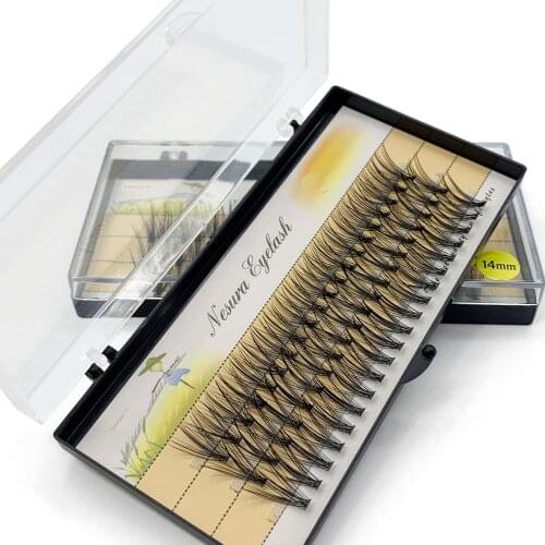 Mollie Lipper Eye Cosmetics