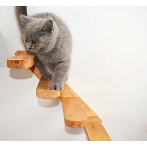Cat climbing a ladder rubber wood springboard stairs toy on a solid wood wall