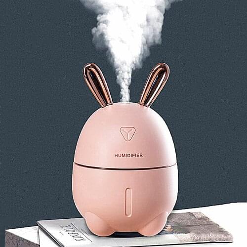 Aromatherapy Diffuser Humidifier 300ml Mini USB Essential Oil Diffuser Cute Aroma Air Humidifier For Home Office Car Portable