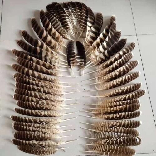 Beatiful a set beatiful natural pheasant feathers 20-40cm Jewelry accessories stage performance decoration diy