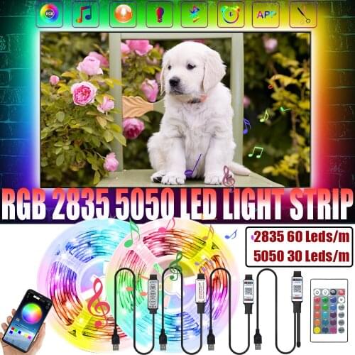 RGB 5050 2835 5V USB Bluetooth APP Control LED Lights Strip 24 Key Flexible Decoration Room TV Background Lighting Luces String