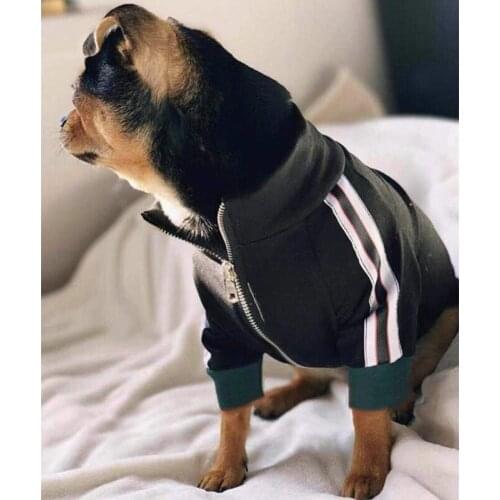 New Fashion Pet Dog Jacket Clothes Puppy Winter Warm Coat Jacket Sweater For Small Medium Dogs Chihuahua Pug Schnauzer LXC03