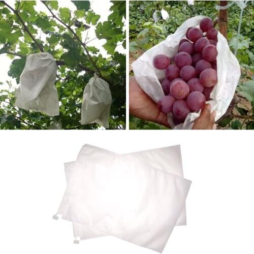 100Pcs/Lot Fruit Vegetable Protection Bag Grapes Mesh Bag Against Insect Pouch Waterproof Pest Control Anti-Bird Garden Tool