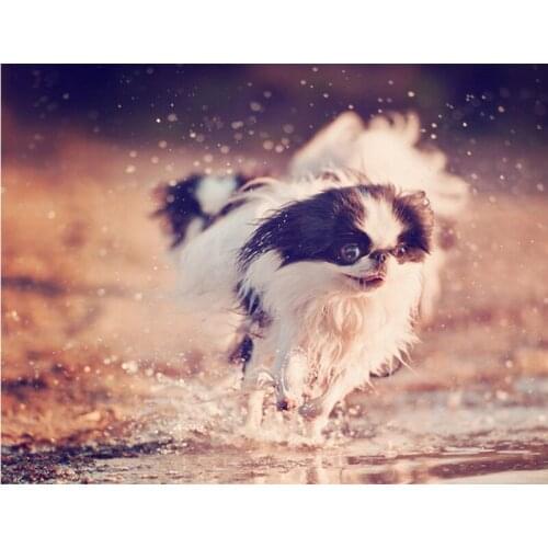 Diamond Embroidery Dog rain Diy Diamond Painting Japan p Full drill Square icon Diamond Mosaic Animal Home Decoration Paintings