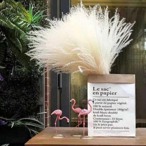 Dried Pampa Bulrush Natural Dry Flowers PampaS Grass Phragmites Fake Flower Mothers Day Easter Wedding Home Decor Fleurs Sechees