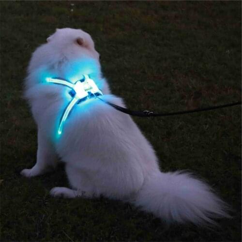 USB Charging Led Dog Collar Dog Collar Personalized Nylon Pet Dog Tag Collar Custom Puppy Cat Nameplate ID Collars Adjustable