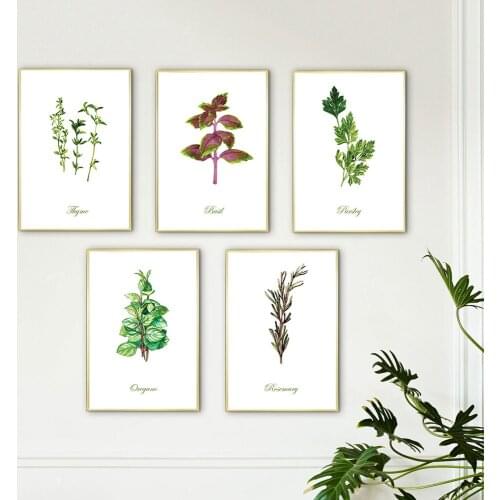 Botanical Herb Studies Watercolour Posters and Prints French Plant Canvas Painting Wall Art Pictures Kitchen Bedroom Decoration