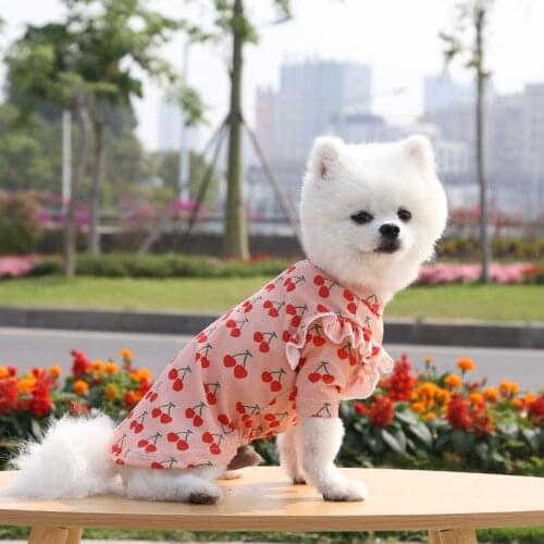 Spring and Autumn Fashion Dog Cherry Shirt Teddy Bichon French Bulldog Clothes Pet Puppy Coat Small Dog Cat T Shirts Pet Clothes
