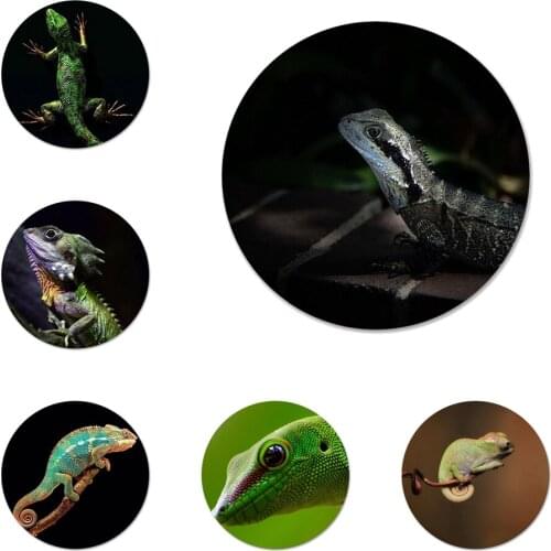 58mm Gecko Lizard Animals Badge Brooch Pin Accessories For Clothes Backpack Decoration gift