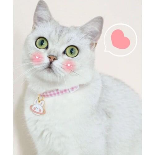 Kitten Collar with Bell Cut Cat Collars Breakaway Adjustable Cats Collar Puppy Collar Pet Supplies Collier for Kittens 1PC