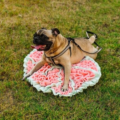 Pet Dog Snuffle Mat Pet Sniffing Training Blanket Detachable Fleece Pads Dog Mat Relieve Stress Nosework Puzzle Toy Pet Nose Pad