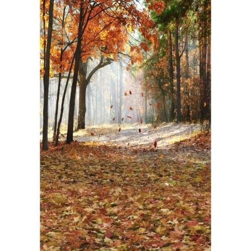 Scenery photo background vinyl fotografia autumn funds photographic backdrops for photo studio props scenic photophone S-2701