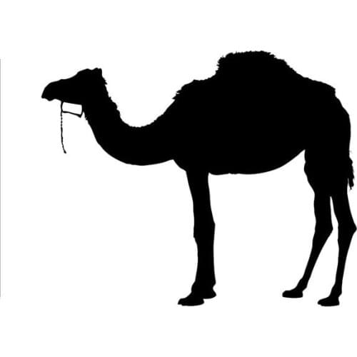 14*11.2CM Cute Camel Pattern Car Styling Personality Car Stickers Motorcycles Decal