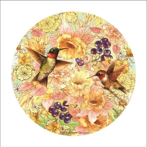 Counted Cross Stitch Kits Needlework Embroidery - 14 ct Aida DMC Color DIY Arts Handmade Home Decor - Hummingbirds and Berries