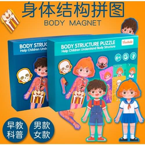 Mupin wooden body structure jigsaw puzzle, human cognition jigsaw puzzle, boys, girls, childrens education, early education