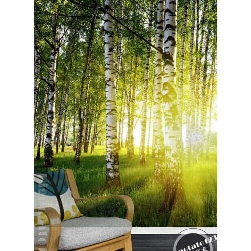 The latest 3D murals,The birch forest grassland landscape in the sunshine. Living room sofa TV wall children bedroom wallpaper