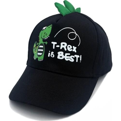2021 Baby Accessories Hot Kids Childrens Boy Girl snapback Hat Baseball Hat Cap Summer Sun Hat Dinosaur Cap 2-9Y
