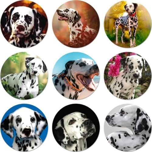 58mm Dog Dalmatian Badge Brooch Pin Accessories For Clothes Backpack Decoration gift