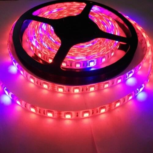 FREE DHL 100m/lot 3:1,4:1,5:1 DC12V 5050 plant grow LED strip light for aquarium greenhouse Hydroponic plant grow light