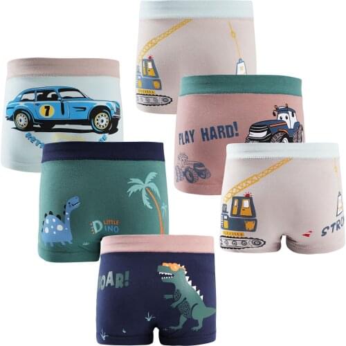 Boys Boxers 6pcs Reusable Panties Cotton Briefs for Kids Cartoon Underwear Dinosaur Underpants Children Breathable Sleep Bottoms