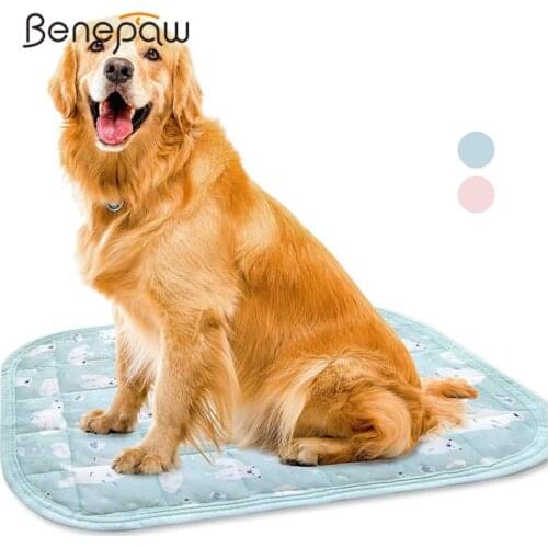 Benepaw Breathable Ice Silk Dog Mat Summer Comfortable Soft Pet Bed Mattress For Kennel Outdoor Car Seats Couches Floors