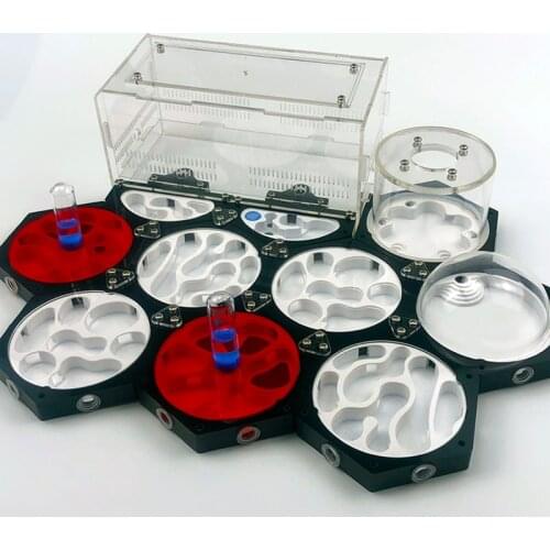 DIY BIG SPACE connecting 3D high grade space station Ant Nest ,Moisturizing Idea Reptile Terrarium Ants Farm House