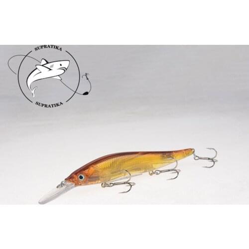 Bionic Floating Minnow 11cm/15g Fishing Lure Hard Bait Diving Depth 0-1.5M Freshwater Anti-Corrosion Plastic Fishing Bait