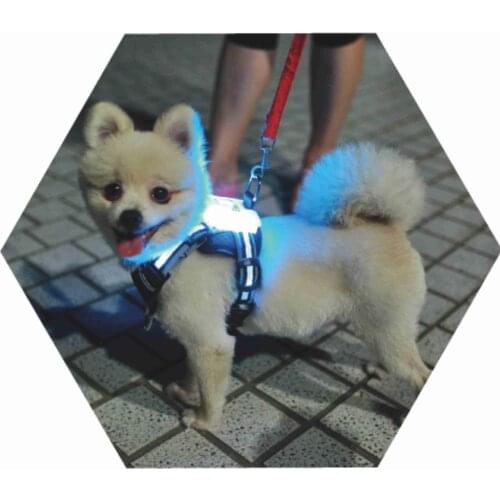 CC Simon Led Dog Harness 7 color in 1