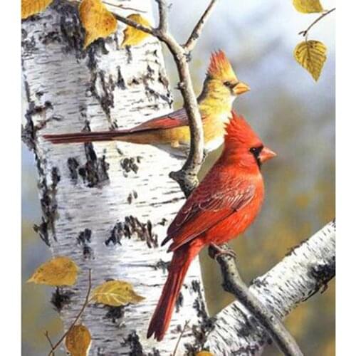 5D DIY Diamond Painting Animal Painting Bird Picture Square/Round Diamond Cross Stitch Embroidery Decoration Crafts WG2913