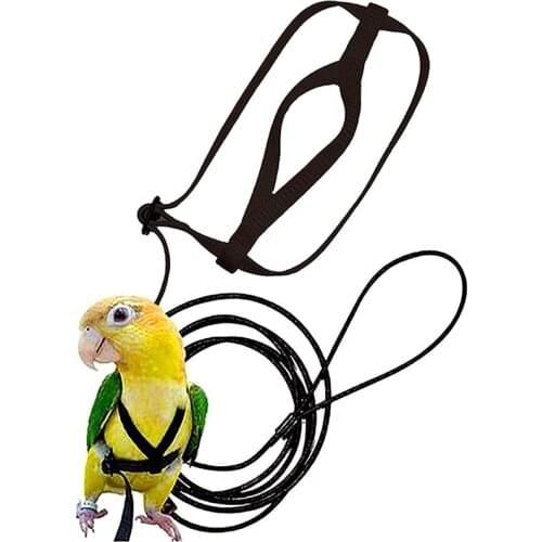 BOUSSAC Bird Rings
