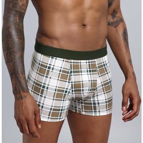 Underpants men Underwear Boxer Mens Clothing Men Shorts Cotton Man Panties Boxershorts boxer hombre ropa interior hombre