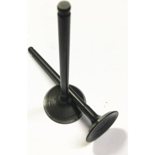 1 Pair Intake and Exhuast valve for Benelli BN251 TNT25 TRK251 Leoncino250