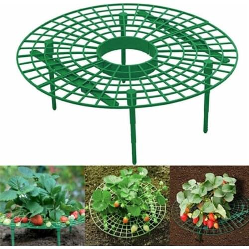 1PCS Strawberry Stand Frame Holder Balcony Planting Rack Fruit Support Plant Flower Climbing Vine Pillar Gardening Stand