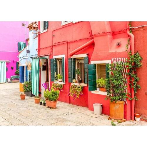 Buildings Street Potted Fresh Photo Backdrop Customized Backgrounds for Baby Children Portrait Pets Photophone Photography Props