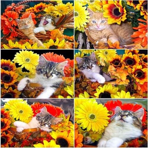 GATYZTORY 40x50cm Picture By Number Flower Cat For Adults Handpainted Animal DIY Oil Painting By Number Kits Home Decor