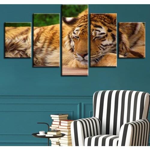Modular Canvas HD Prints Posters Home Decor Wall Art Pictures 5 Pieces Sleeping tiger Paintings No Frame