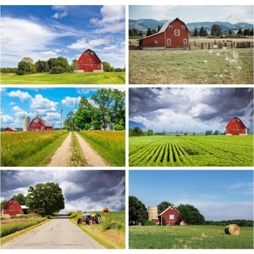 Leacco Spring Cloudy Outdoor Farm Green Grass Real Landscape Photo Background Customized Poster Portrait Photographic Backdrops