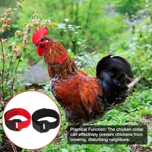 2PCS Chicken Collar Nylon Anti-Hook Noise Free Neckband Collars Supplies for Chicken Ducks Geese and Other Poultry